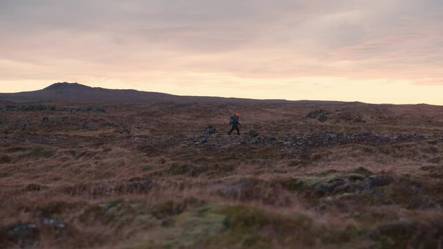 Man Walking Through Icelandic Nature 