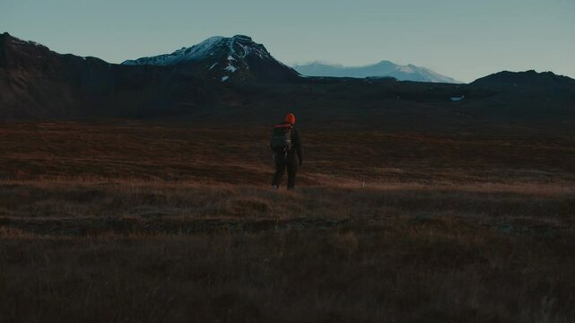 Man Walking Through Icelandic Nature 