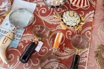 Antique Magnifying Glasses and Tortoise Brooch on Flea Market