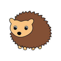 hedgehog on white background