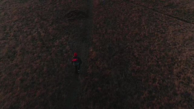 Man Walking Through Icelandic Nature, Drone Shoot