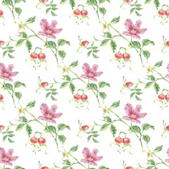 Pink wild rose seamless pattern with flower, berry, leaf watercolor illustration on white. Rosehip flowers, berries print hand drawn botanical sketch for printing on wallpaper, textile, wrapping paper