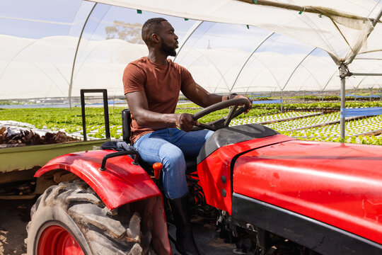 African American man driving red tractor in greenhouse, with hydroponic seedlings and metal hoops