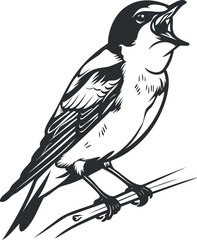A detailed black and white illustration of a singing bird perched on a branch.