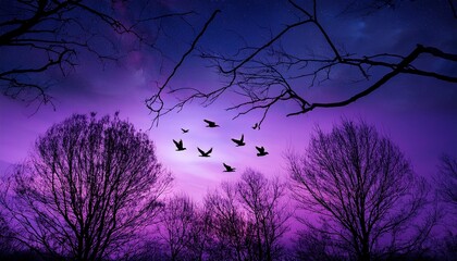 Purple Night Sky with Flying Birds and Silhouetted Branches