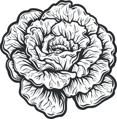 Detailed black and white illustration of a rose flower showcasing intricate petal designs.