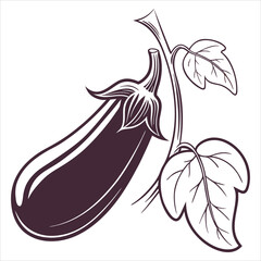 silhouette eggplant on white background