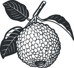 Illustration of a ripe lychee fruit with leaves showcasing its detailed texture and natural beauty.