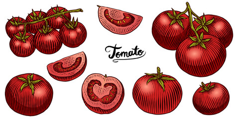 Set of tasty and fresh red tomatoes, hand drawn vegetables in engraved old traditional style. sketch or linework drawing for product or food store © artbalitskiy