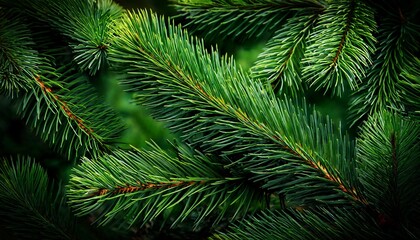 Obraz premium christmas and 2022 new year wallpaper or background green fir tree branch closeup photography
