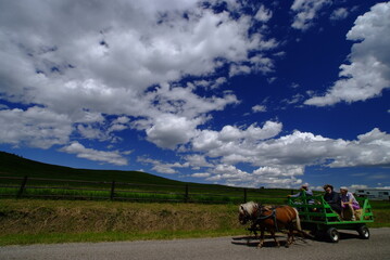 Fototapeta premium clouds over the field, nature, summer