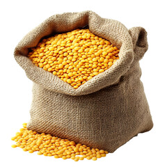 Yellow Lentils in Burlap Sack Harvest Bounty
