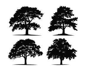 Elegant Ash Silhouette Isolated Template Set Illustration