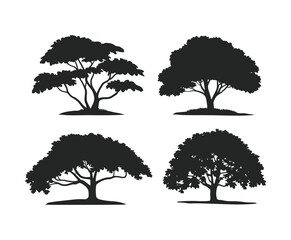 Fototapeta premium Minimalist Ash Tree Silhouette Vector EPS Template