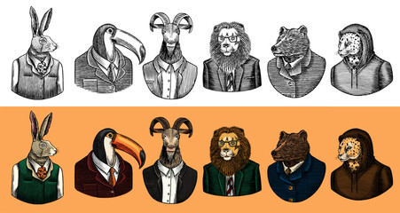 6 different animals and birds in humans clothes and suits. Lion, tuscan bird and bear next to rabbit and goat for drinks or emblems. Anthropomorphic wild animals drawing. Hand drawn sketchy old style