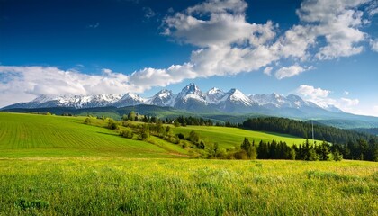 Fototapeta premium slovakia countryside landscape in spring gorgeous high tatra mountain ridge with snow capped peaks in the distance grassy rural fields on a sunny day with clouds on a blue sky