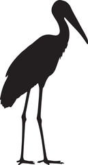 Adjutant Stork Silhouette Standing Tall