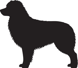 Australian Shepherd Silhouette Standing Alert