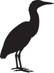 Fototapeta premium Bittern Silhouette in Marshland Scene