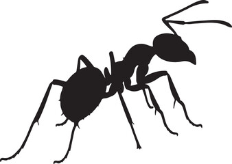 Bullet ant vector silhouette on white background