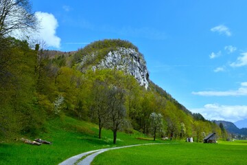 Cliff above a forest in springtime and a gravele road next to a green field at Bohinjska Bela in Gorenjska, Slovenia