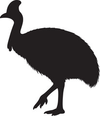 Cassowary bird vector silhouette on white background