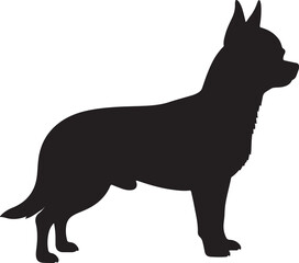 Chihuahua vector silhouette on white background