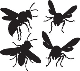 Hornet Silhouette