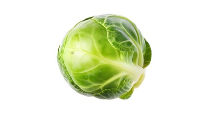 Fototapeta premium CGI Illustration of a Fresh Single Brussels Sprout Isolated View