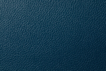 blue vinyl, leather field guide texture