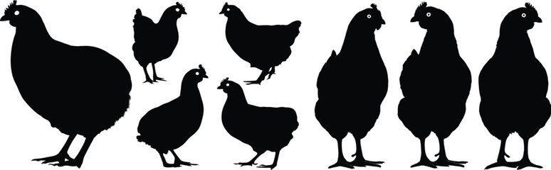 A graphic representation featuring a fish logo in black and white and a blue and white version logo