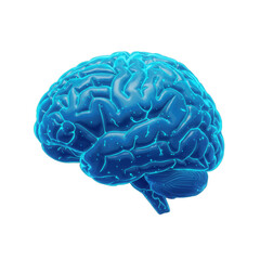Glowing blue cerebral representation. Shows intelligence, deep learning, creativity, and connection. Illustrates the human brain anatomy.