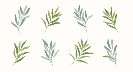 Green branches with leaves vector set.Botany emblem design elements.Hand drawn floral spring or summer illustrations for prints,flyers,banners,wedding,invitations,branding design,clipart.