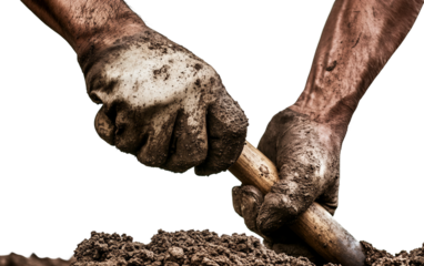 Hands of a laborer gripping shovel with dirt on them showing dedication to hard physical work isolated on white background PNG