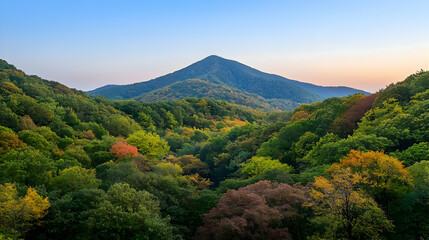 Autumn Foliage Mountain Forest View