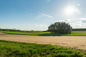 Wiosenne słońce nad polami i lasem – światło natury i spokój