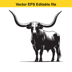 Longhorn cattle vector silhouetted 