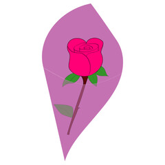 Rose flower wrapped. Pink floral packaging. Gift plant illustration. Vector romantic shape.