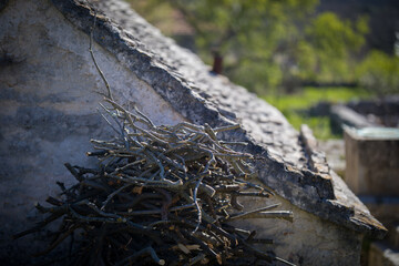 Village Donje selo on Šolta island in Dalmatia - Croatia