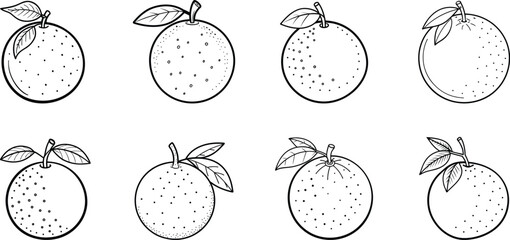 Hand-Drawn Orange Fruit Vector Set with Leaves Black and White Outline Clipart