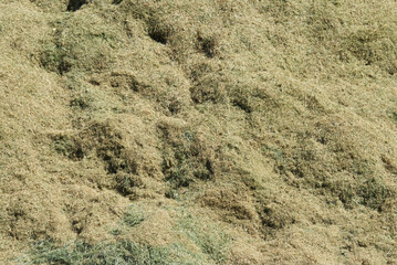 Dry grass trimmings