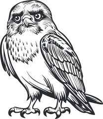 A detailed black and white illustration of a hawk showcasing its striking features and posture.