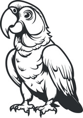 Illustration of a stylized parrot with detailed feathers and a playful expression.