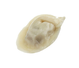 One delicious boiled dumpling isolated on white
