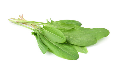 Fresh green sorrel leaves isolated on white