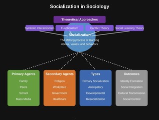 Obraz premium Socialization in sociology visual understanding 