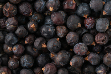 ジュニパーベリーのクローズアップ