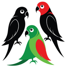 Conure birds set isolated shilhotee vector on white background