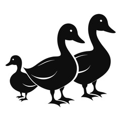 Duck birds set isolated shilhotee vector on white background