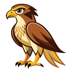 Hawk birds set isolated shilhotee vector on white background